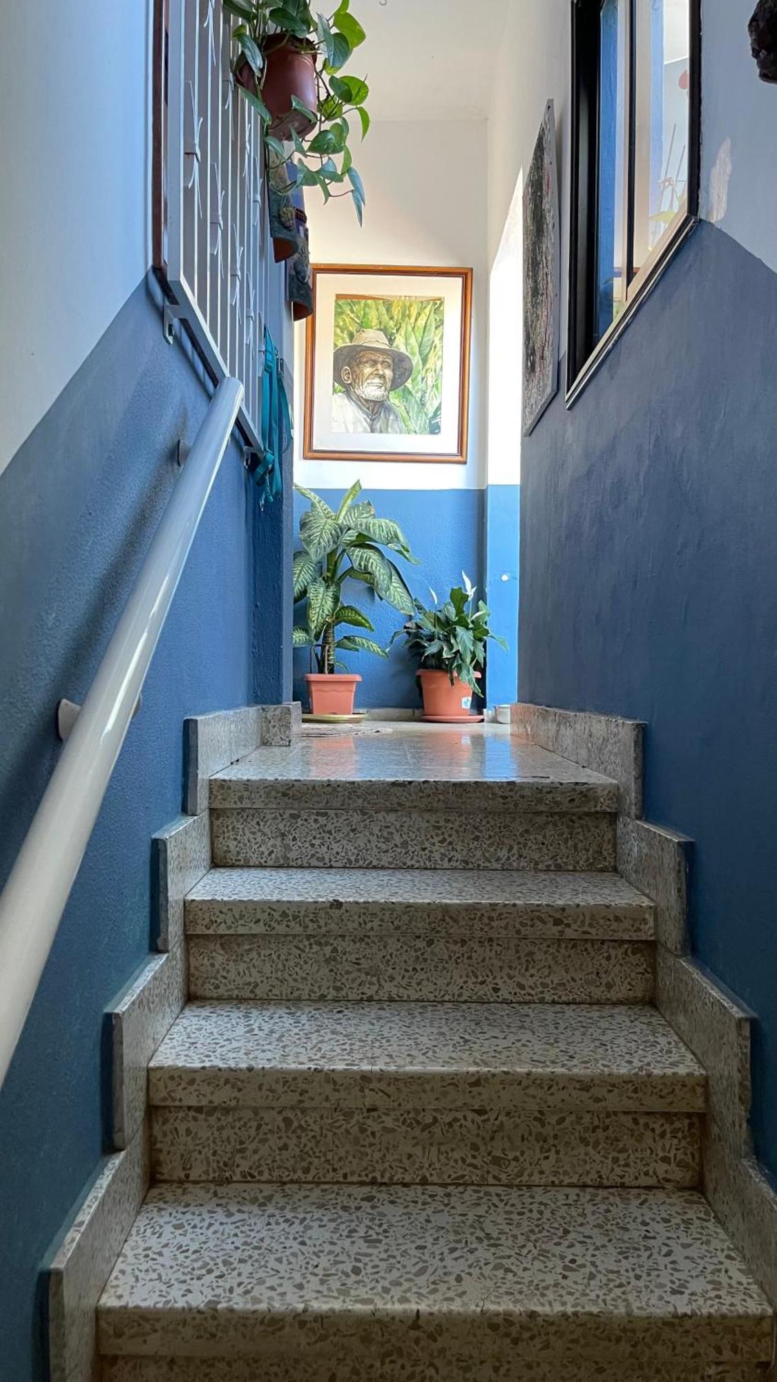 D-Espacios Zotea Tegueste Bagian luar foto